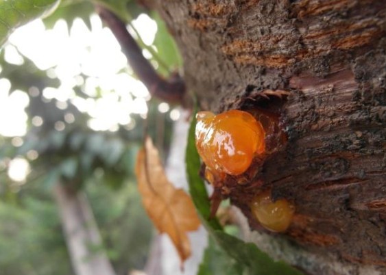 三分鐘了解樹脂檢測的所有知識